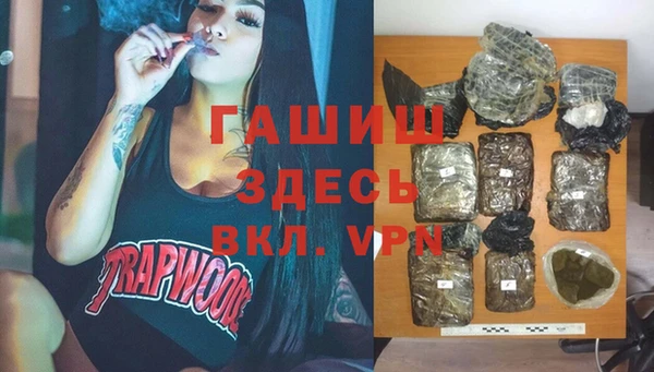 spice Бородино